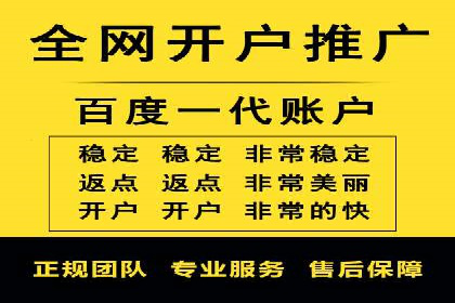 SEM竞价代运营：案例展示数据分析与应用